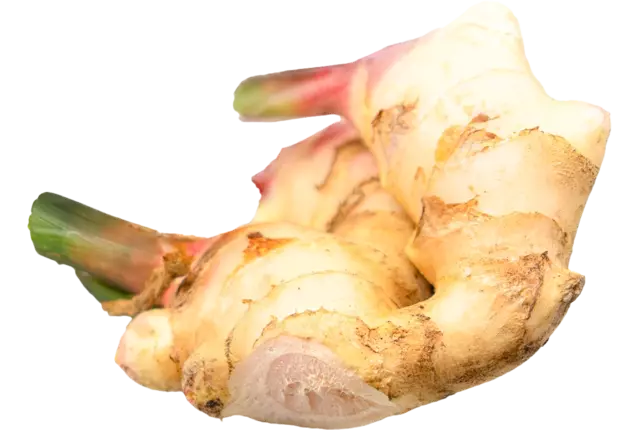Gember vers verpakt 1kg kist 5 stuks